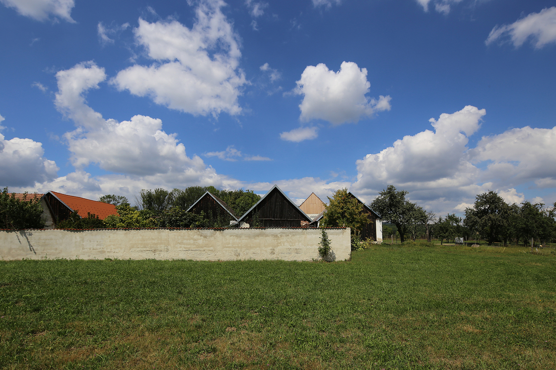 Ein Foto von Juri Troy