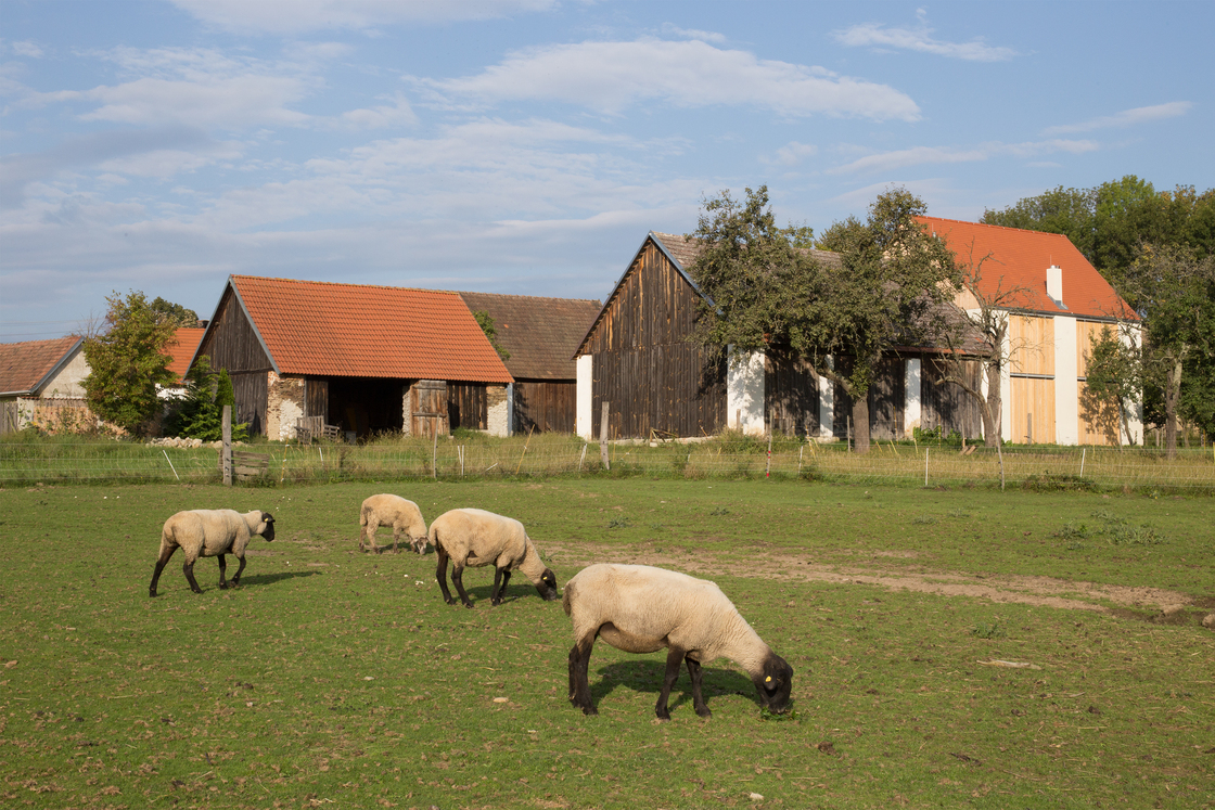 Ein Foto von Juri Troy