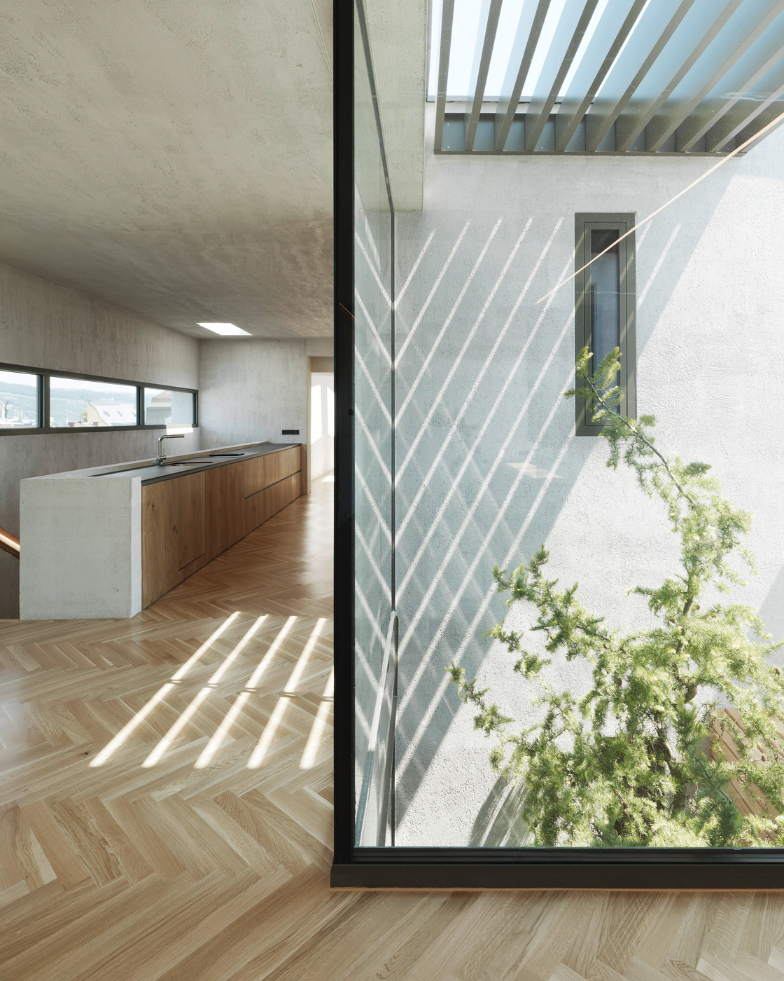 Ein Foto von Paul Ott