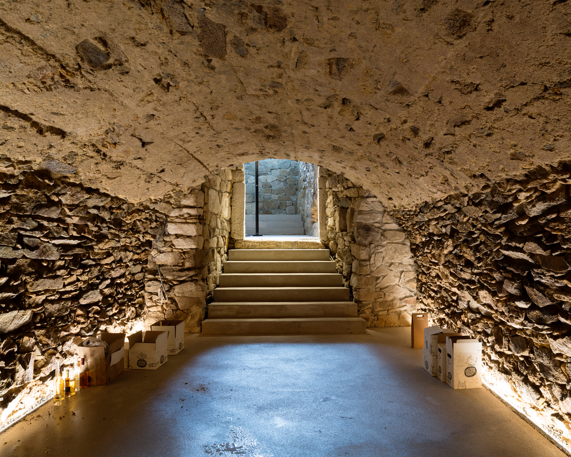 Ein Foto von Lukas Schaller