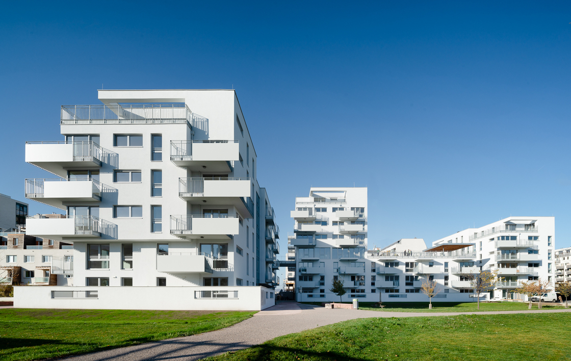 Ein Foto von Lukas Schaller