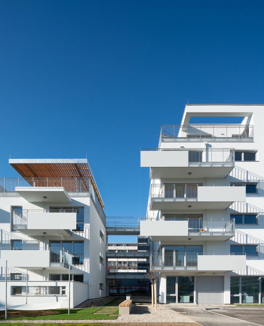 Ein Foto von Lukas Schaller