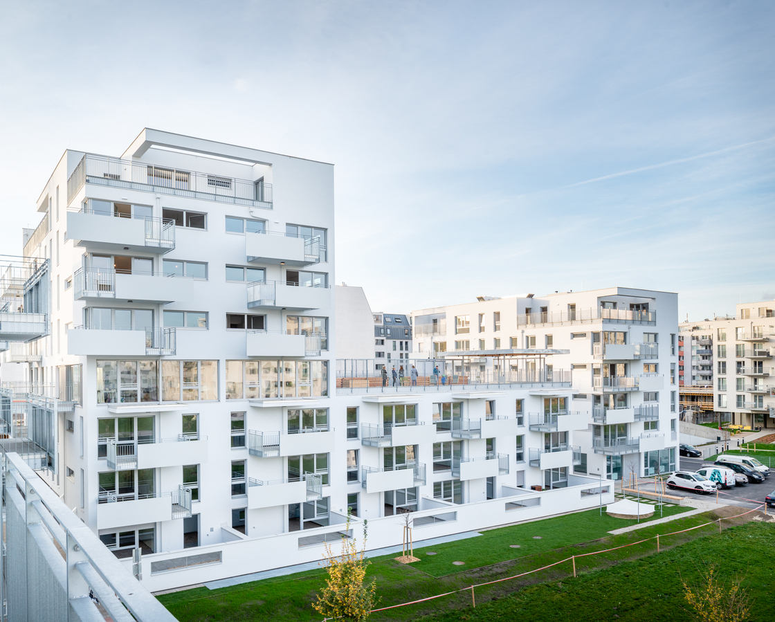 Ein Foto von Lukas Schaller