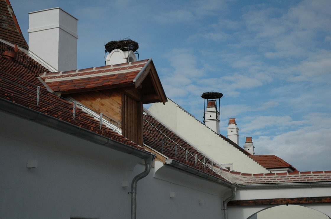 Ein Foto von Manfred Murczek