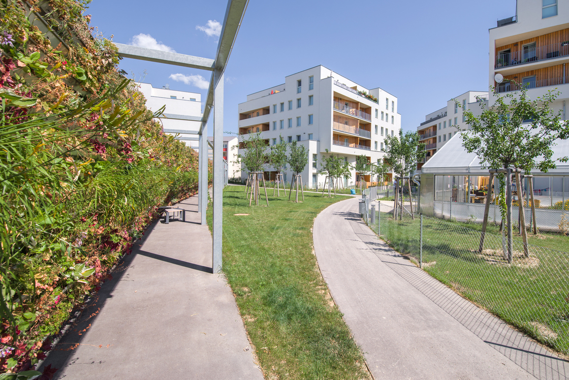 Ein Foto von Andrea Ehrenreich