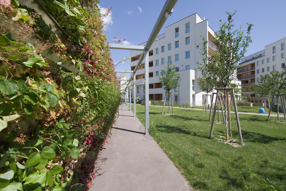 Ein Foto von Andrea Ehrenreich