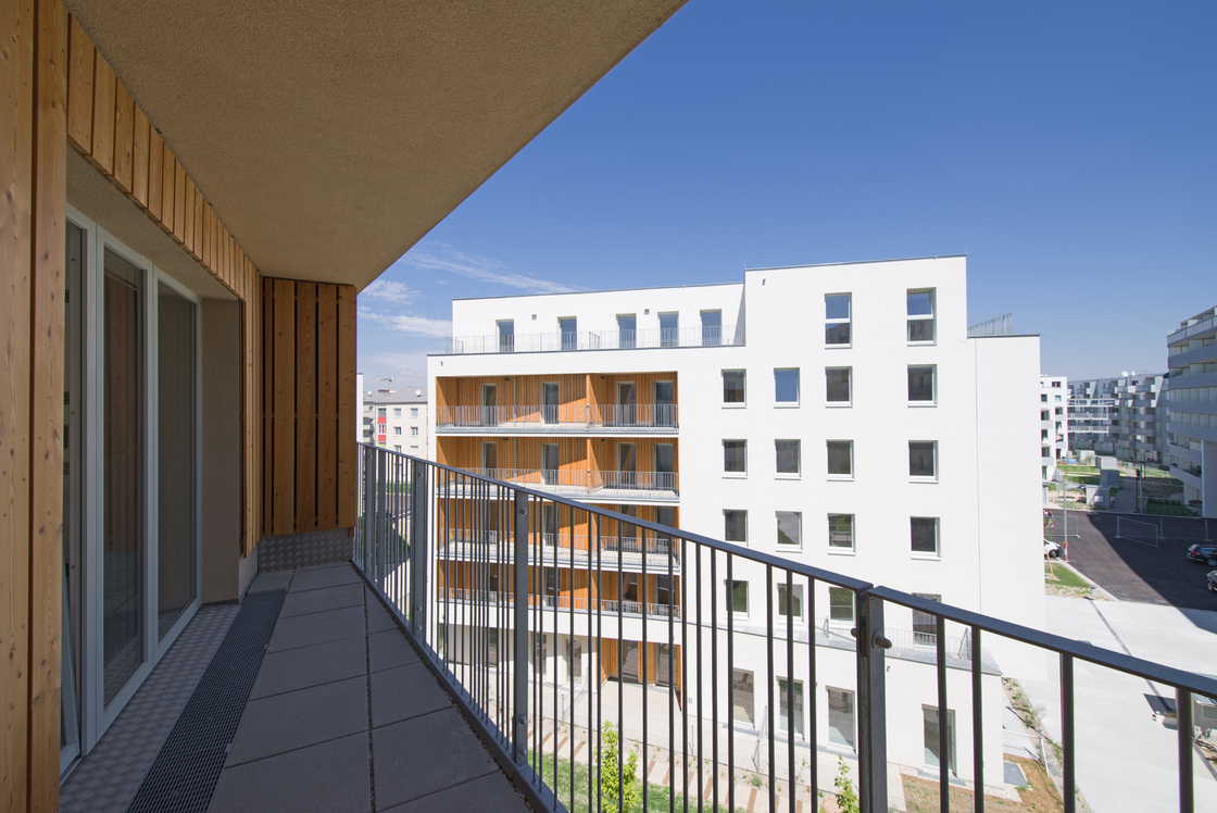 Ein Foto von Andrea Ehrenreich