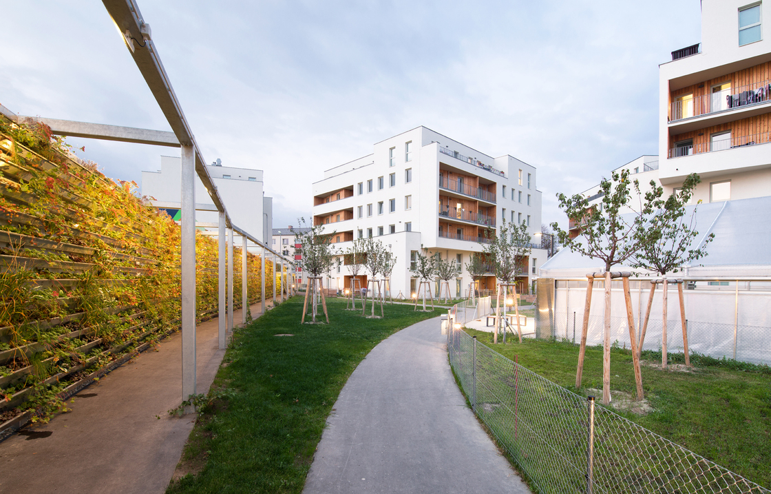 Ein Foto von Andrea Ehrenreich