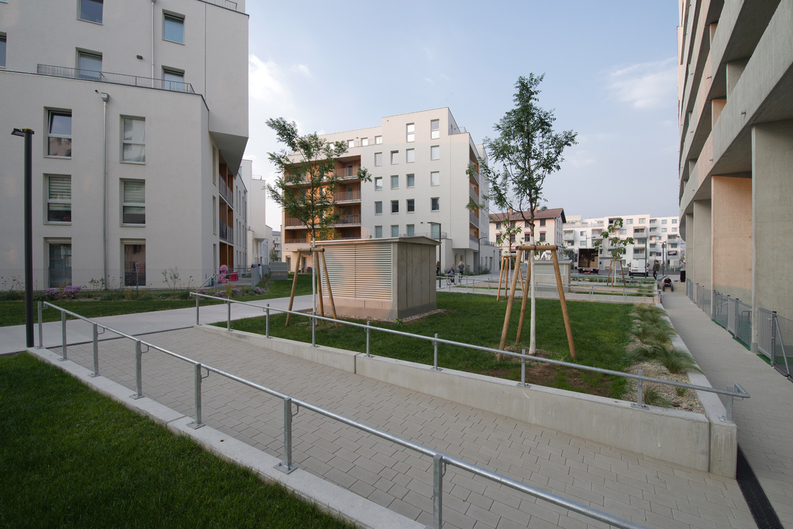 Ein Foto von Andrea Ehrenreich