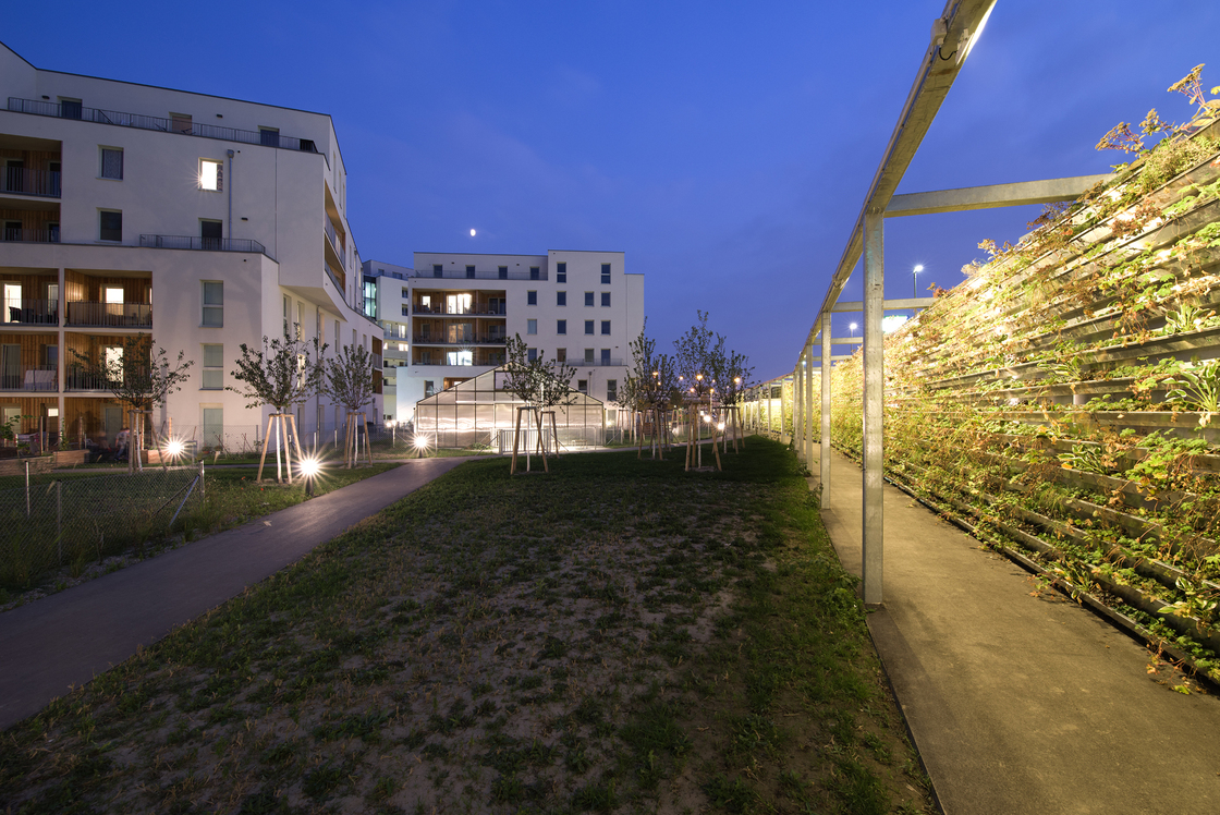 Ein Foto von Andrea Ehrenreich