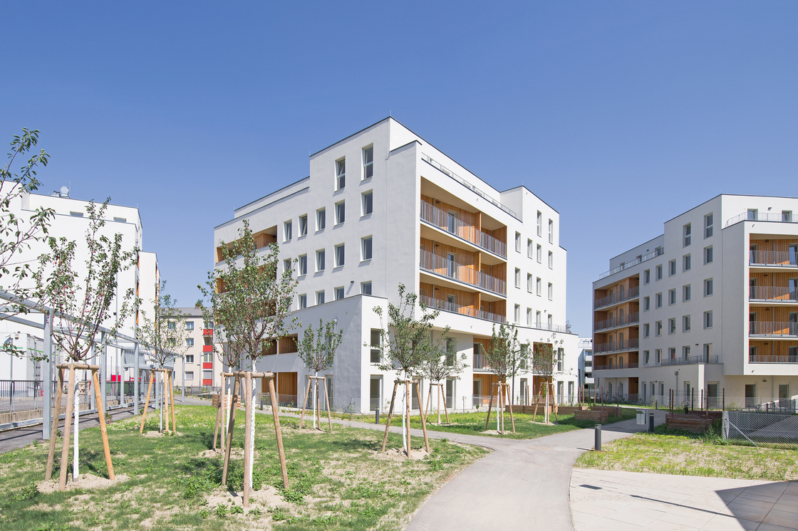 Ein Foto von Andrea Ehrenreich