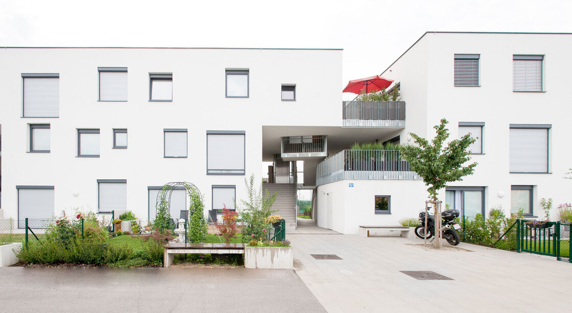 Ein Foto von Alexander Simon