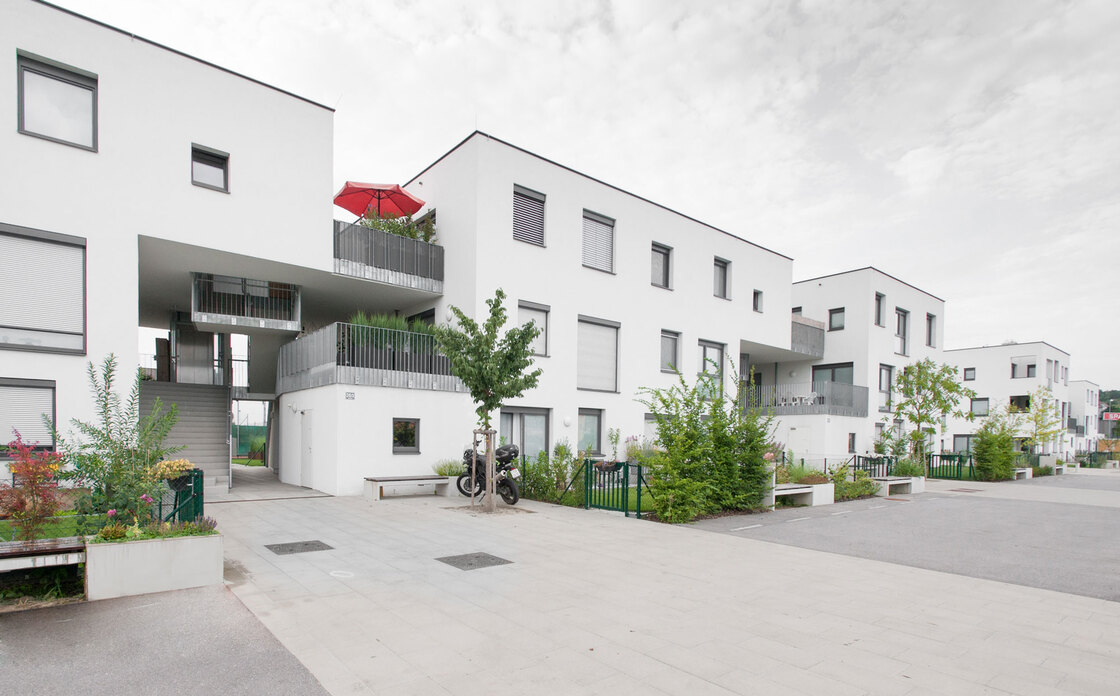 Ein Foto von Alexander Simon