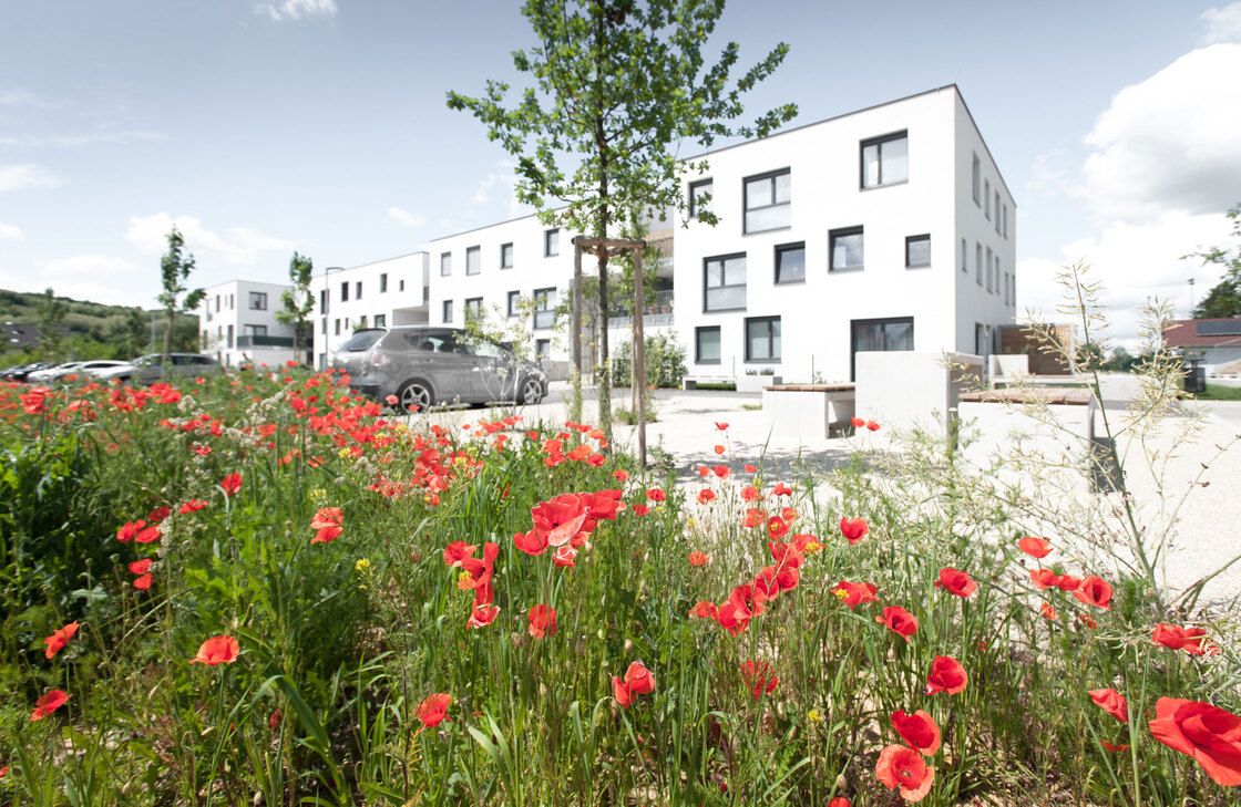 Ein Foto von Alexander Simon