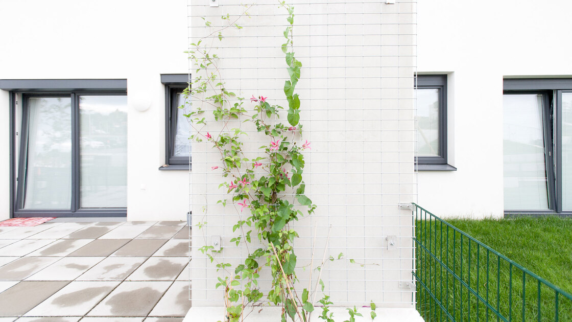 Ein Foto von Alexander Simon