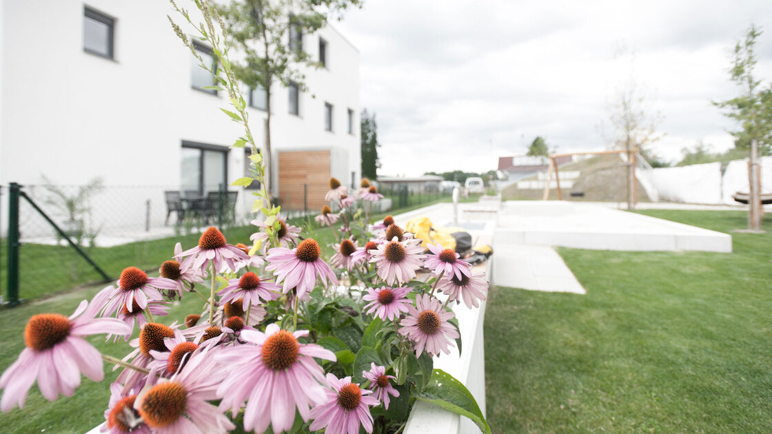 Ein Foto von Alexander Simon