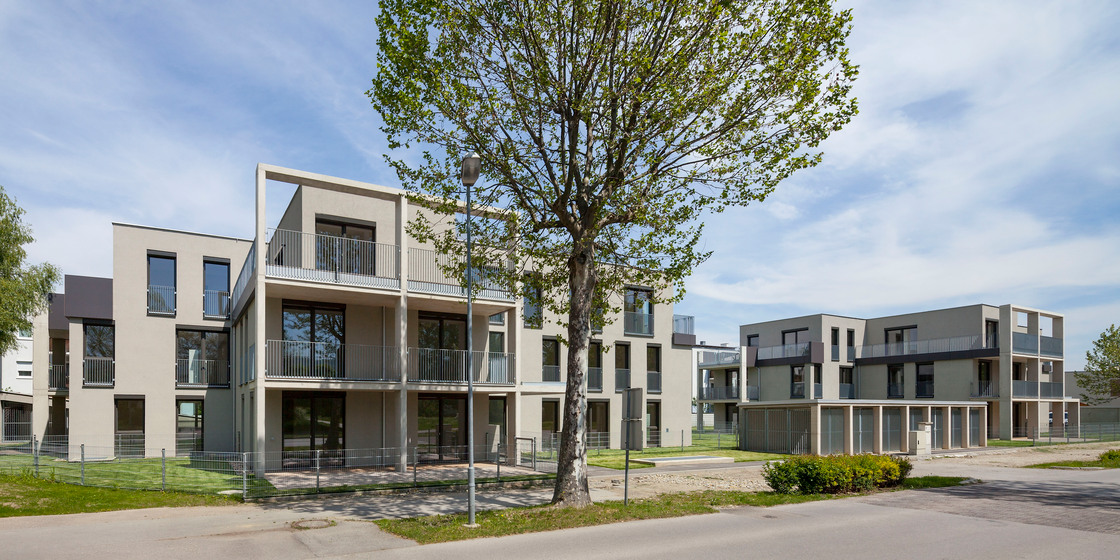 Ein Foto von Rupert Steiner