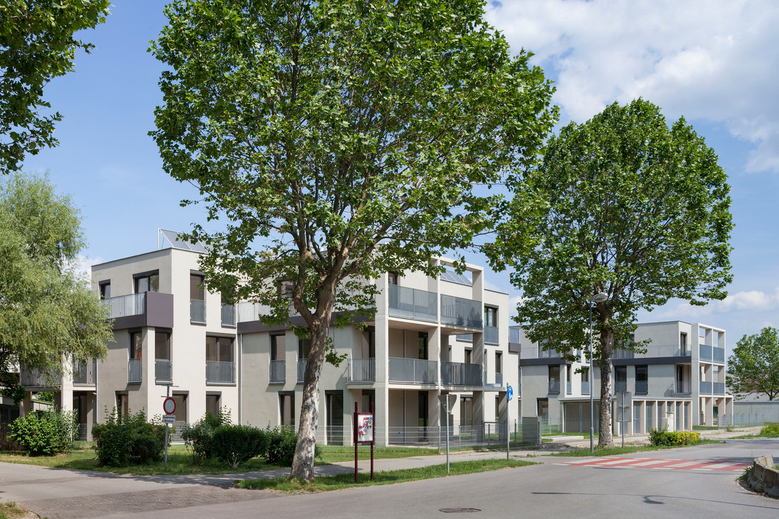 Ein Foto von Rupert Steiner