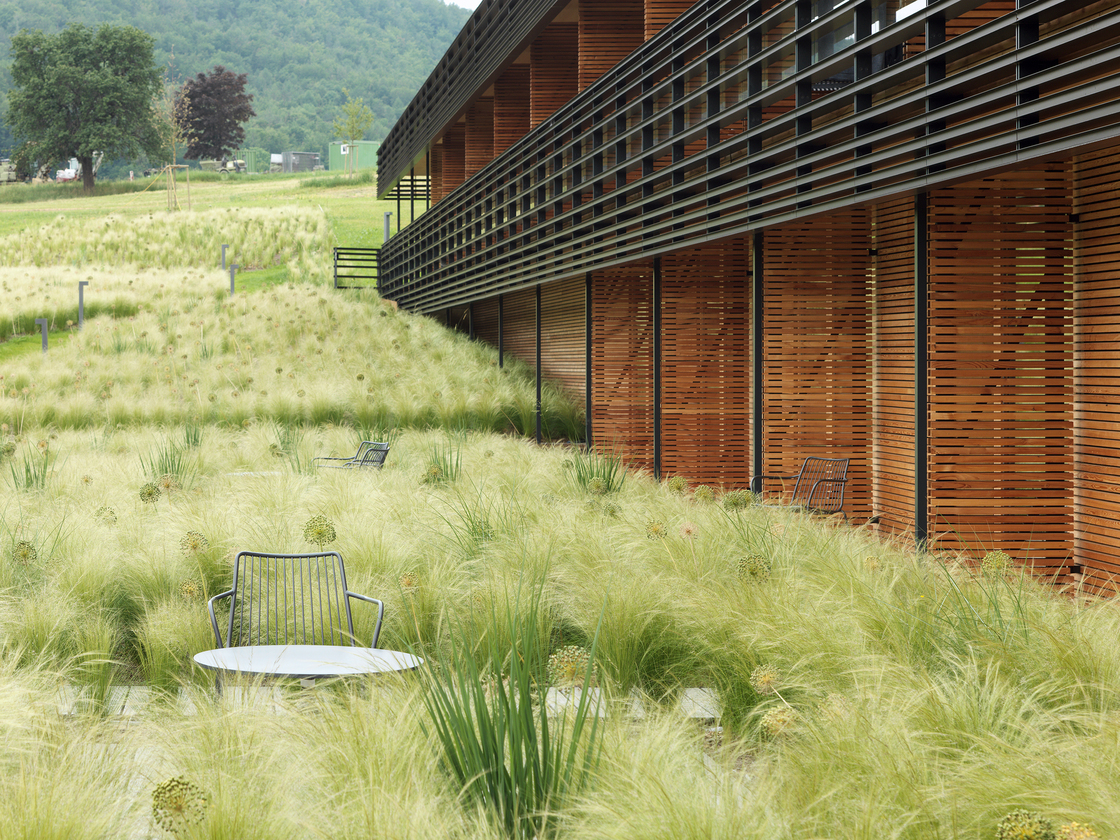 Ein Foto von Paul Ott