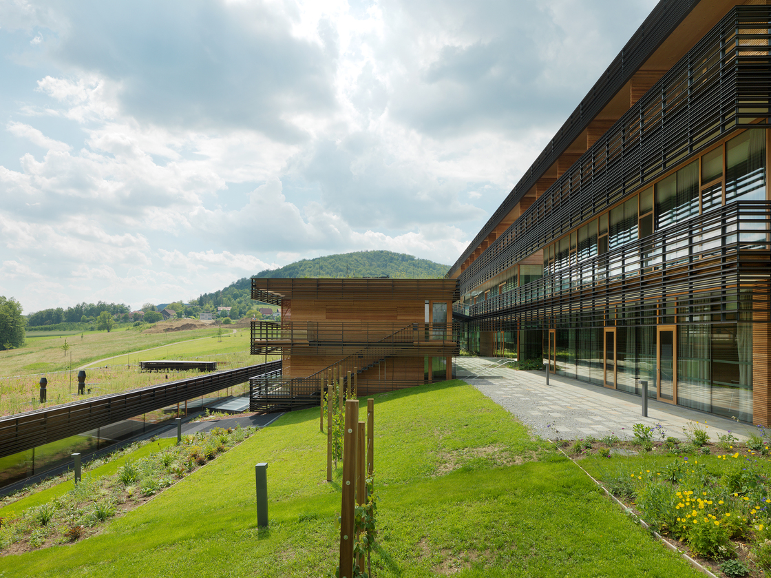 Ein Foto von Paul Ott