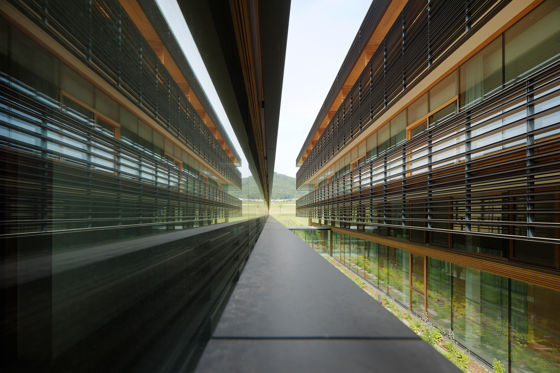 Ein Foto von Paul Ott