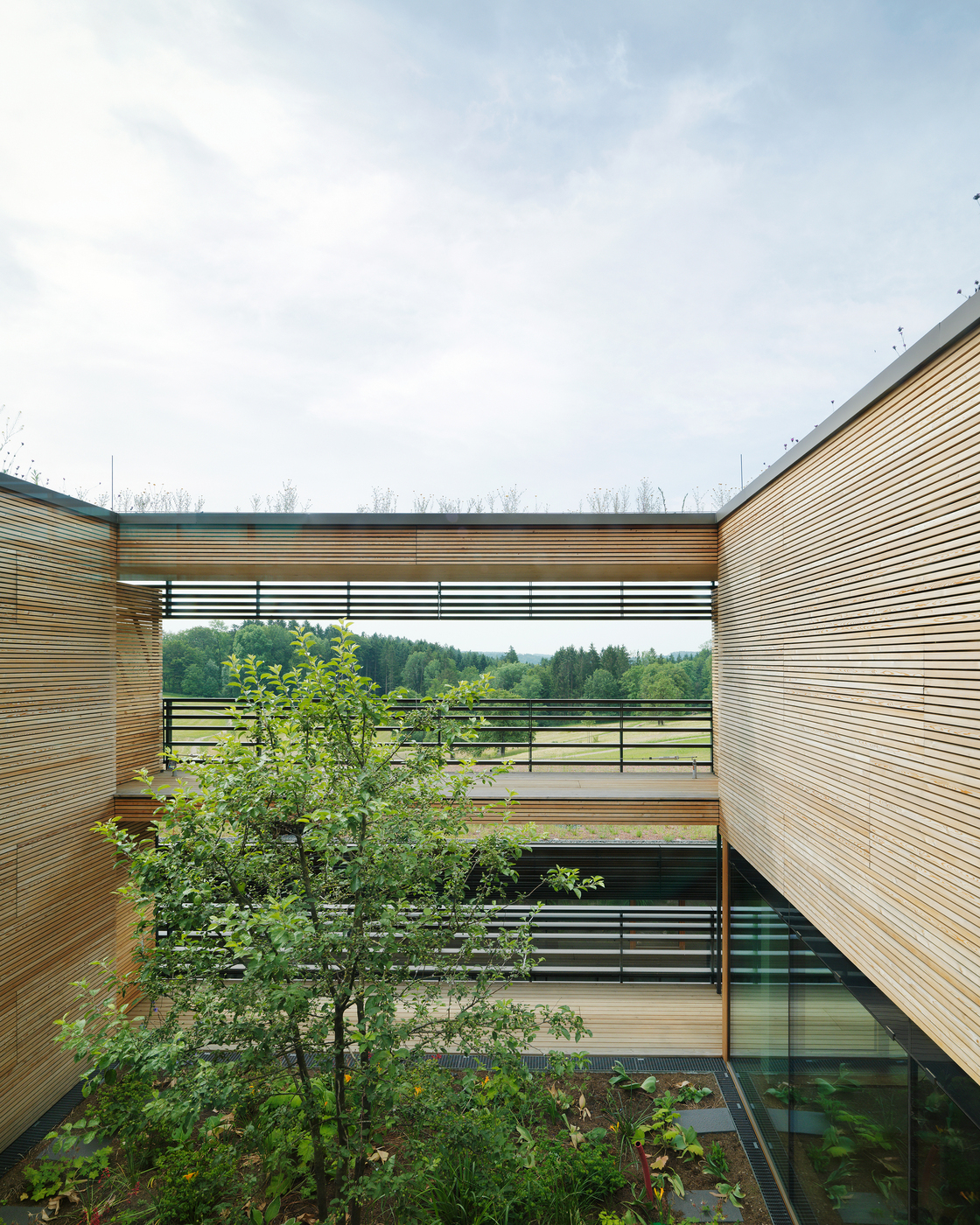 Ein Foto von Paul Ott