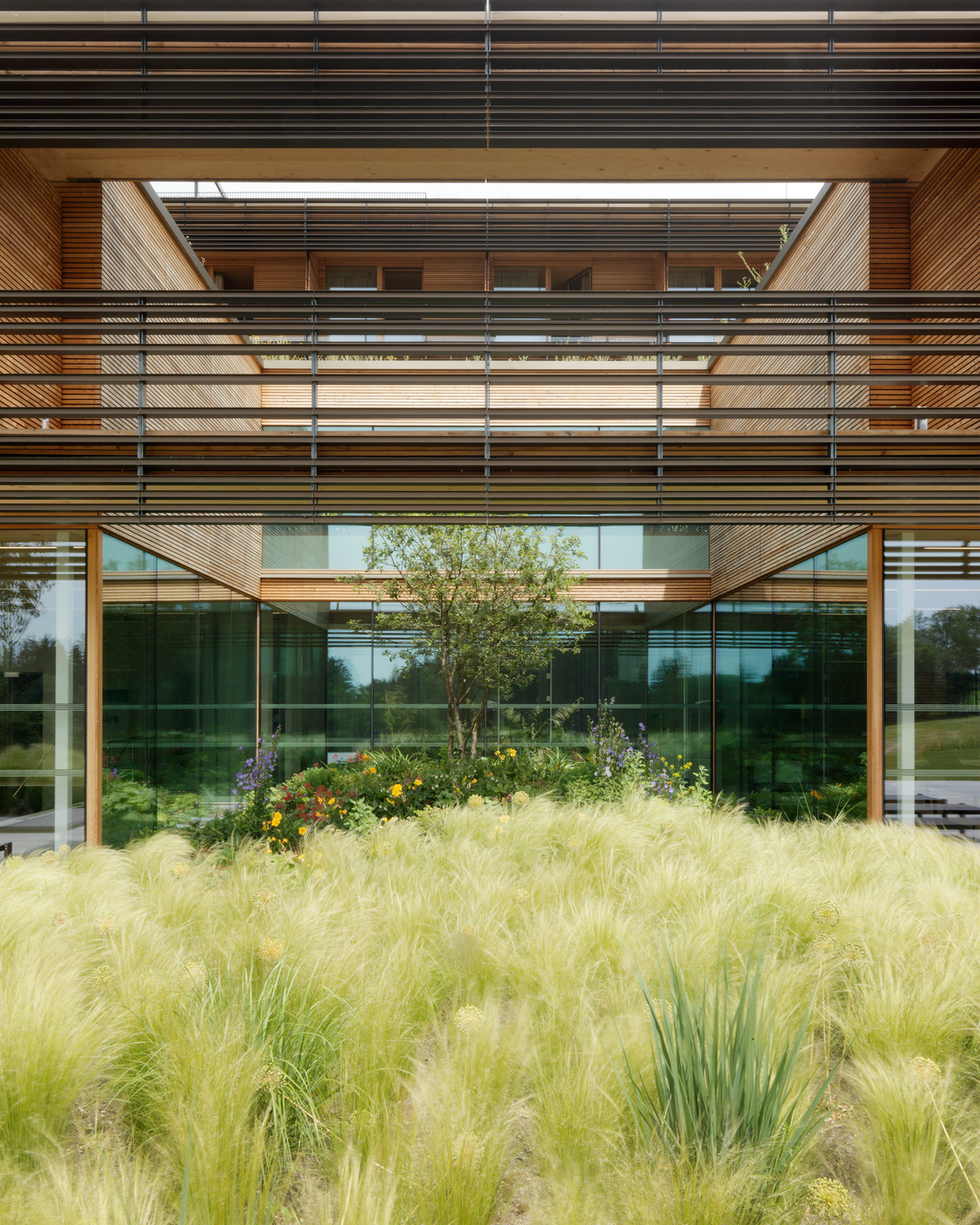 Ein Foto von Paul Ott