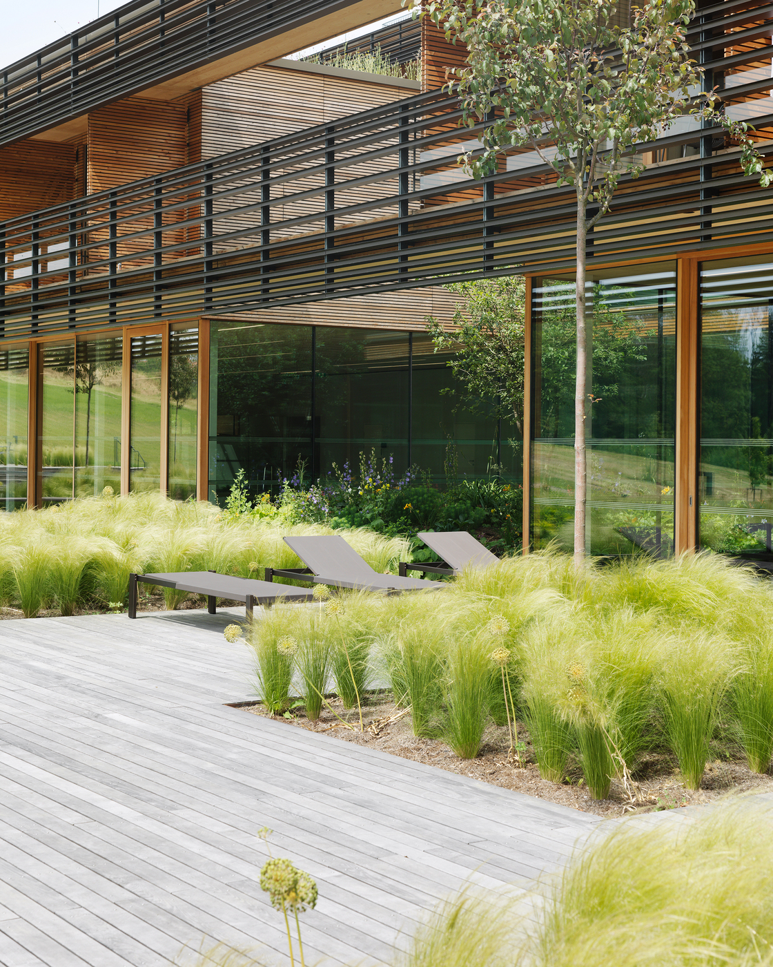 Ein Foto von Paul Ott