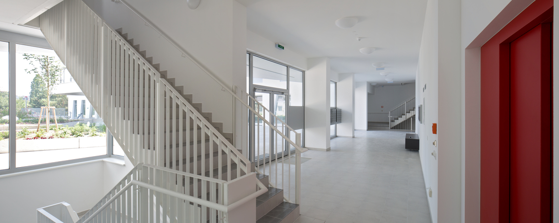 Ein Foto von Franz Ebner