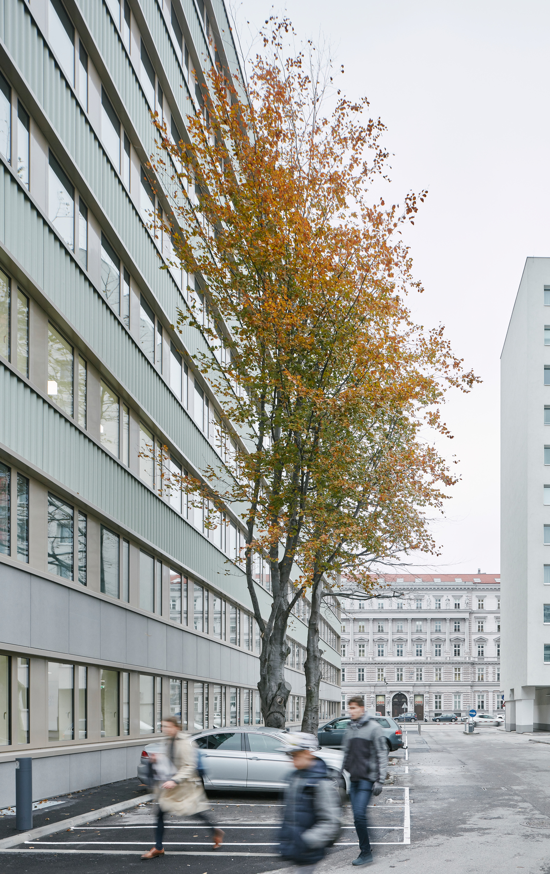 Ein Foto von David Schreyer