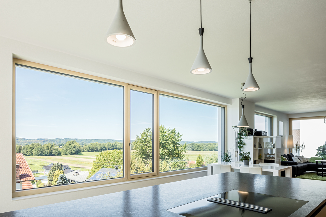 Ein Foto von Martin Steinkellner