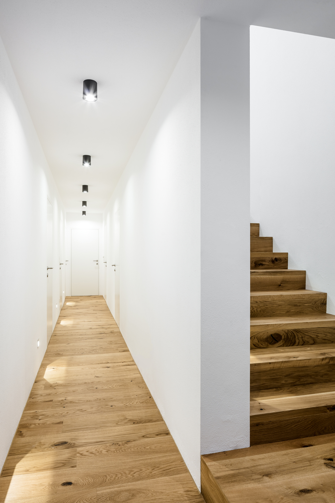 Ein Foto von Martin Steinkellner