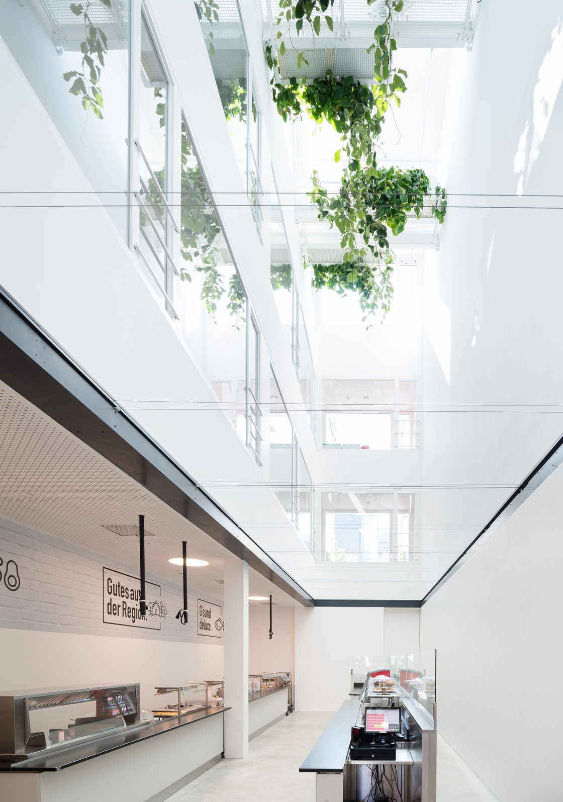 Ein Foto von Lukas Schaller