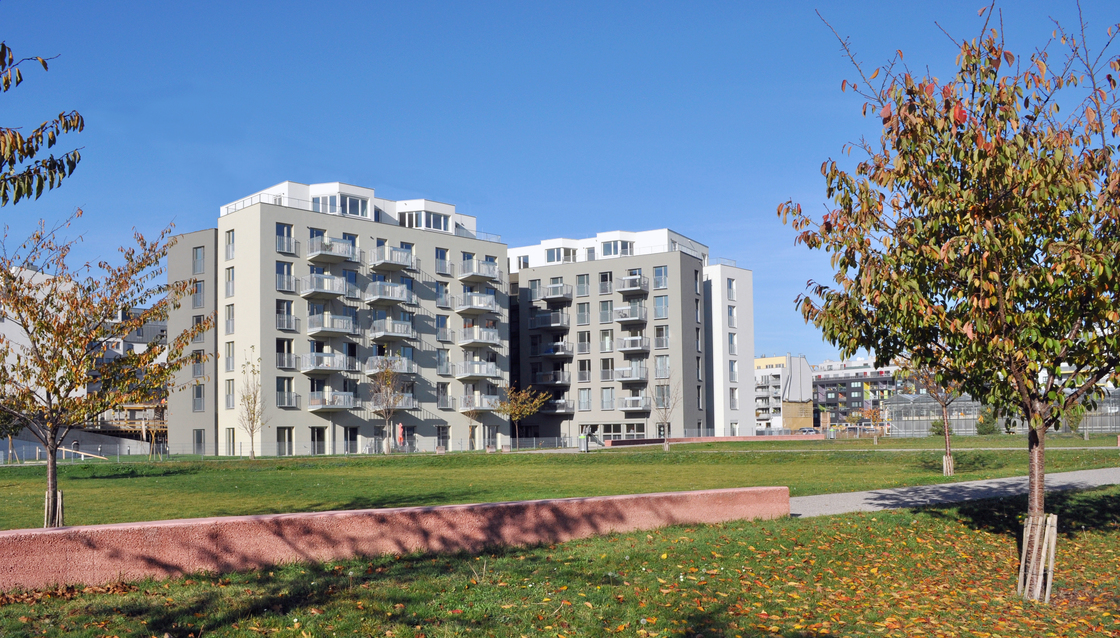 Ein Foto von Bernhard Weinberger