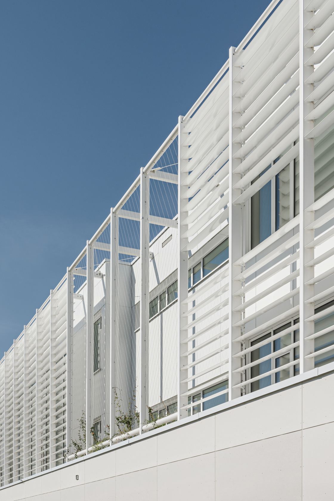 Ein Foto von Hertha Hurnaus