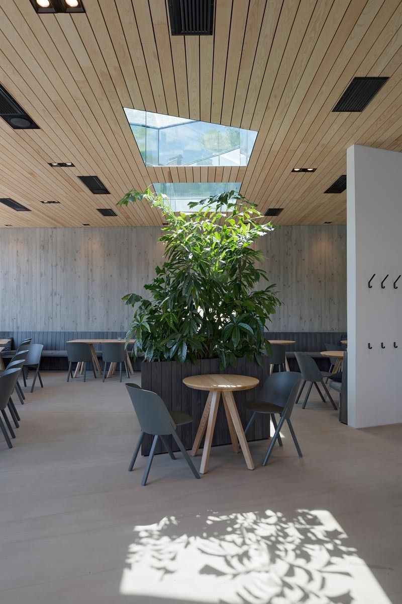 Ein Foto von Rupert Asanger