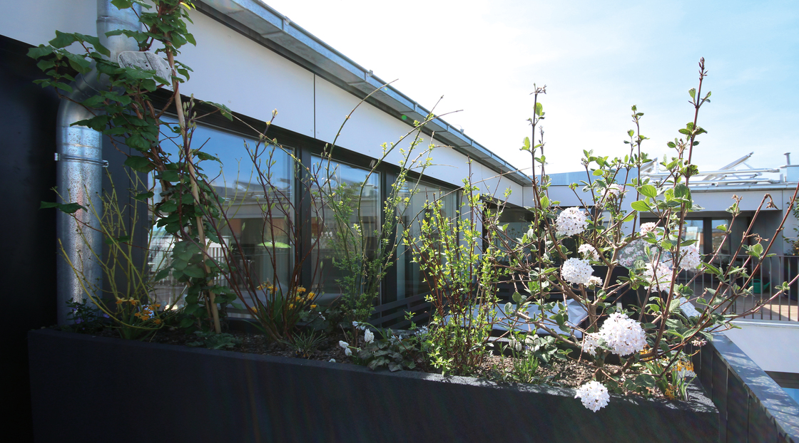 Ein Foto von Trimmel Wall Architekten