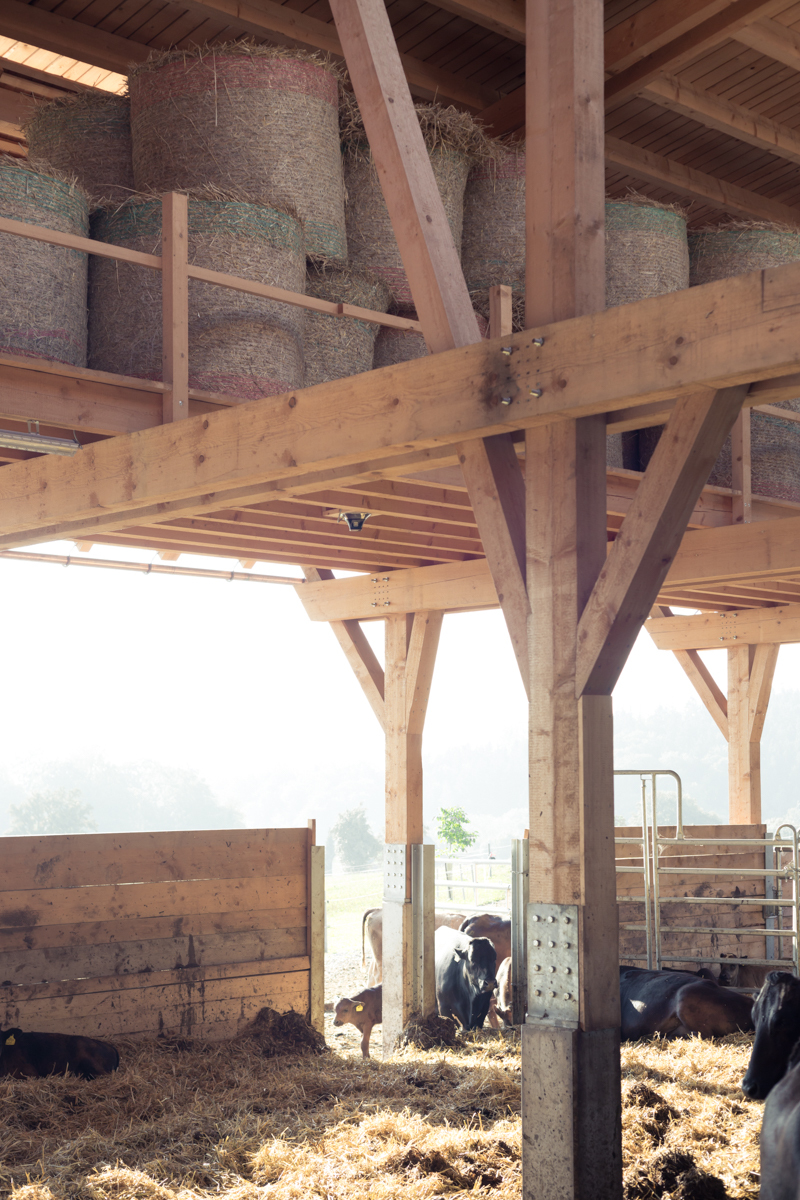 Ein Foto von Stefan Gruber