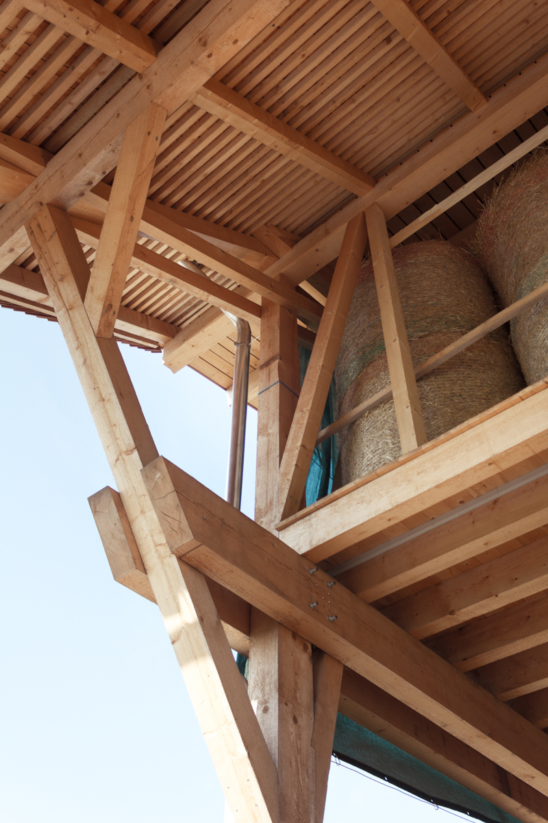 Ein Foto von Stefan Gruber