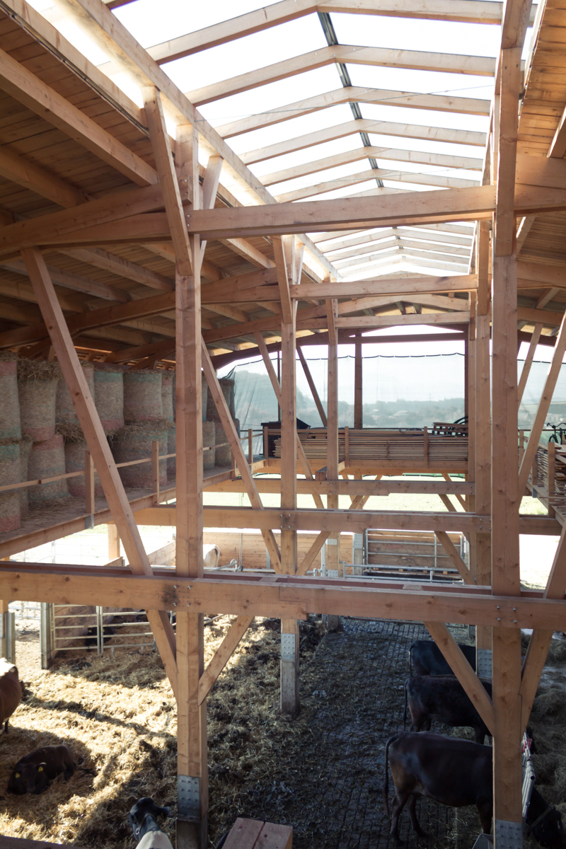 Ein Foto von Stefan Gruber