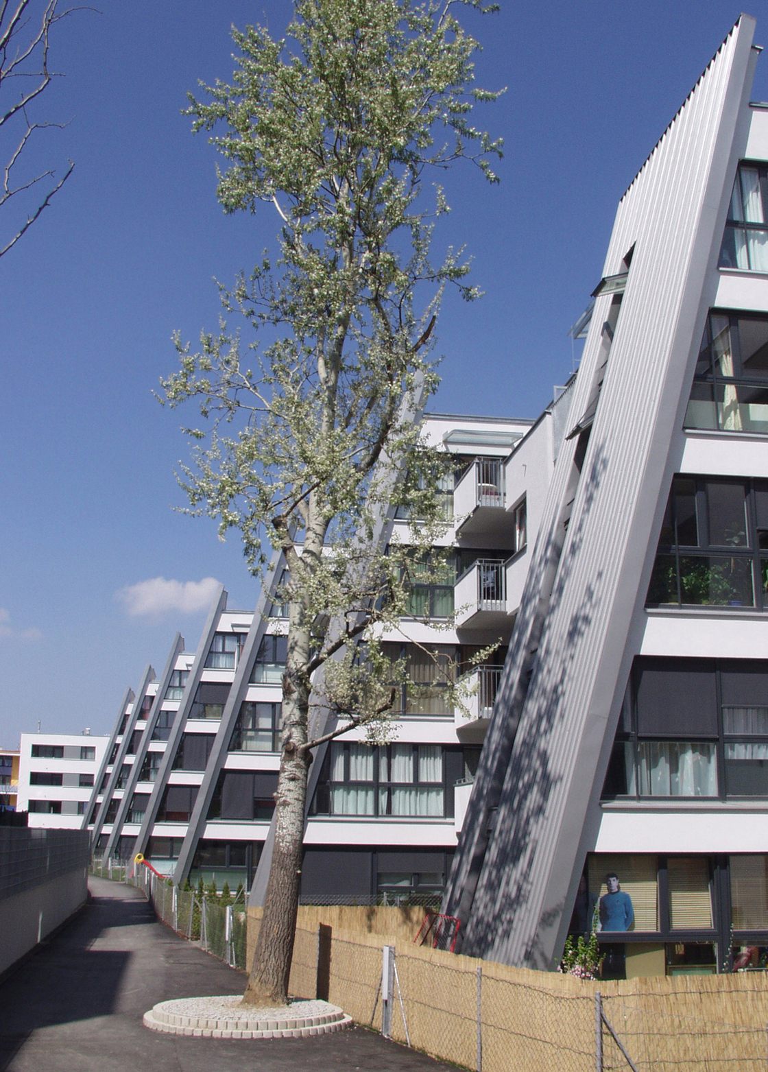 Ein Foto von Blaich + Delugan Architekten