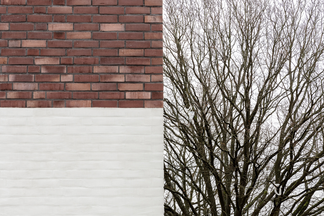 Ein Foto von tschinkersten