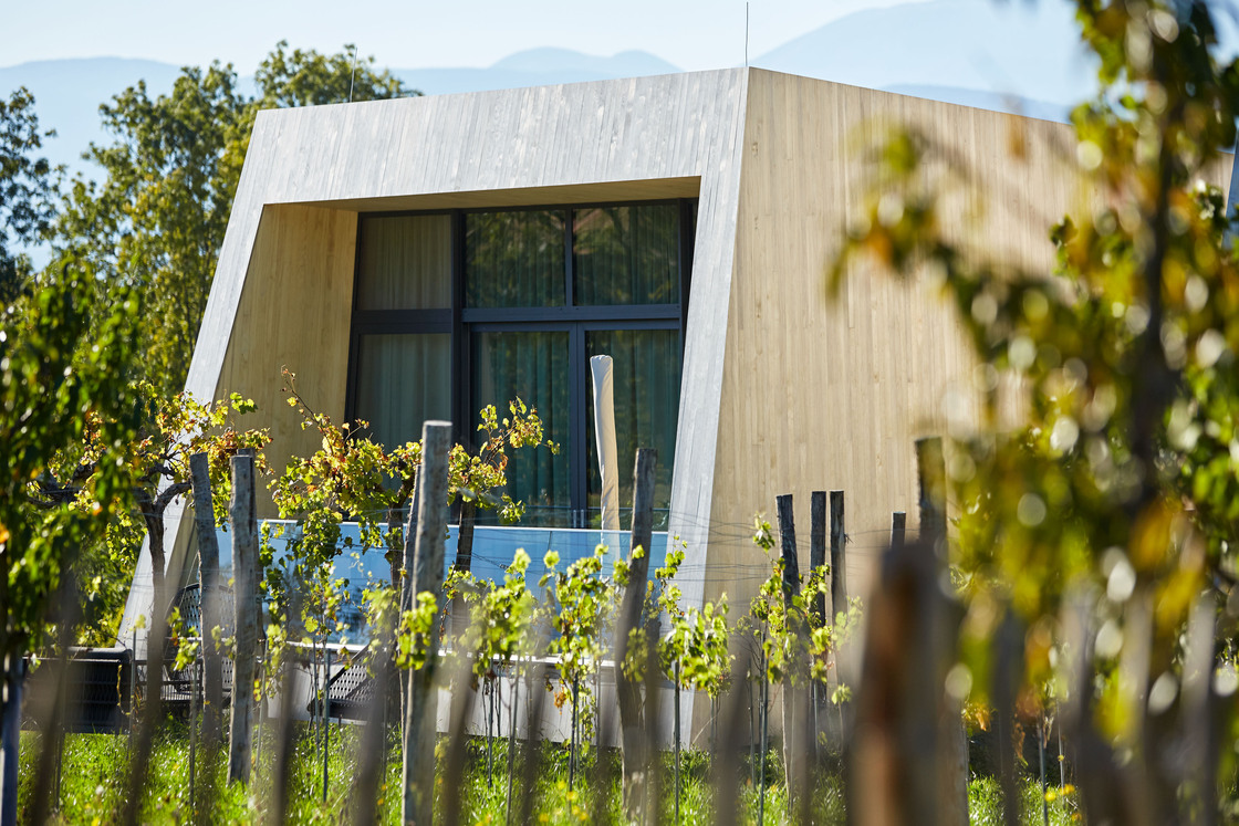 Ein Foto von Herbert Lehmann