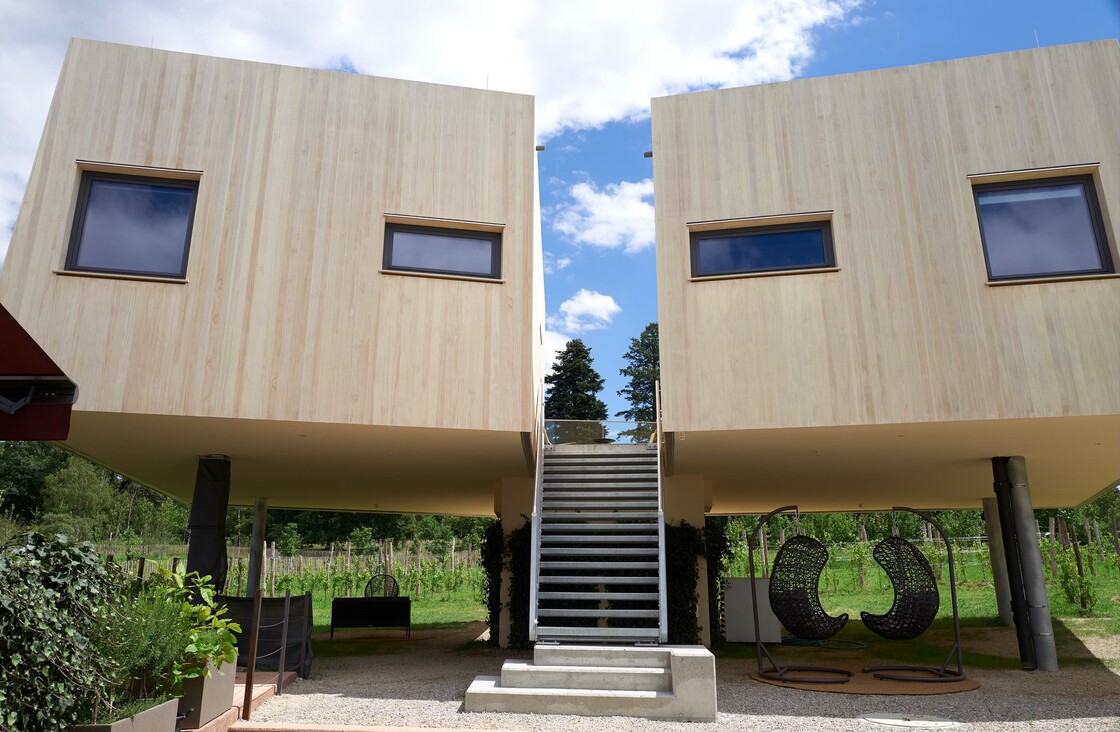 Ein Foto von Herbert Lehmann