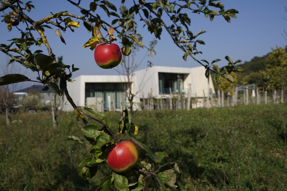 Ein Foto von Herbert Lehmann