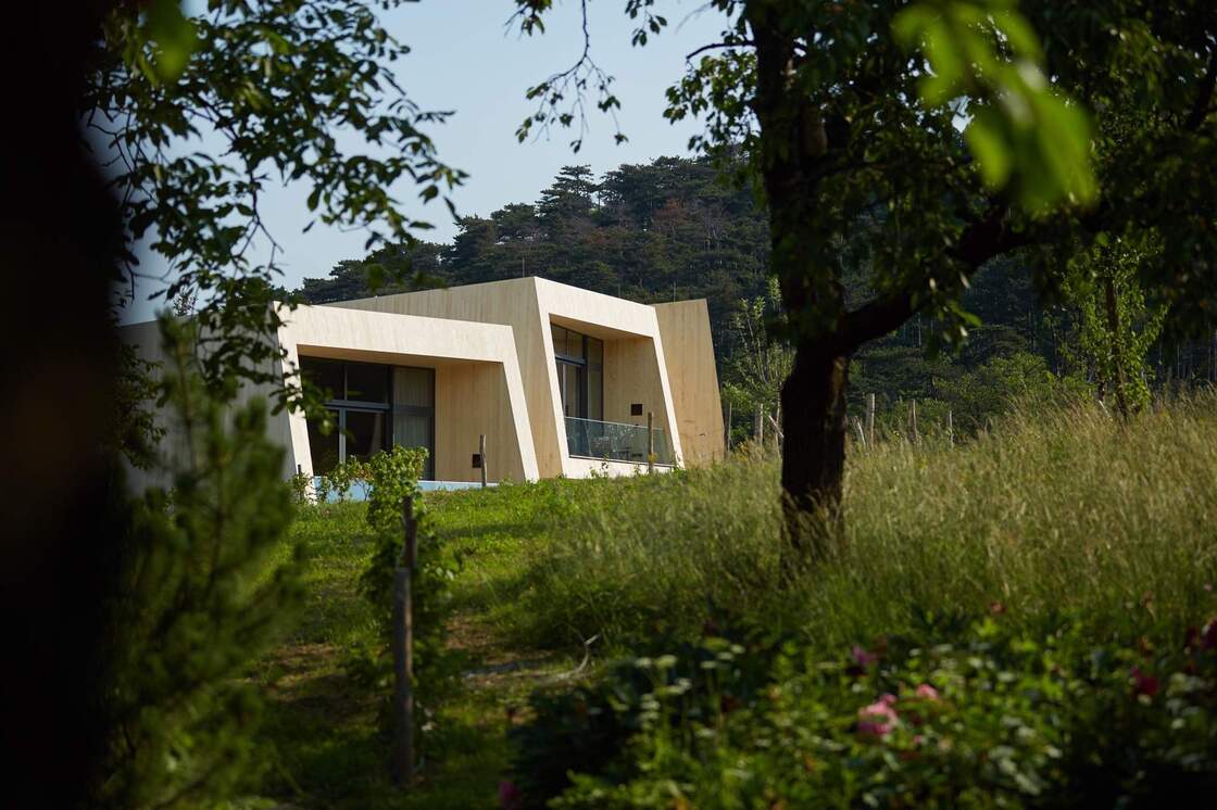 Ein Foto von Herbert Lehmann