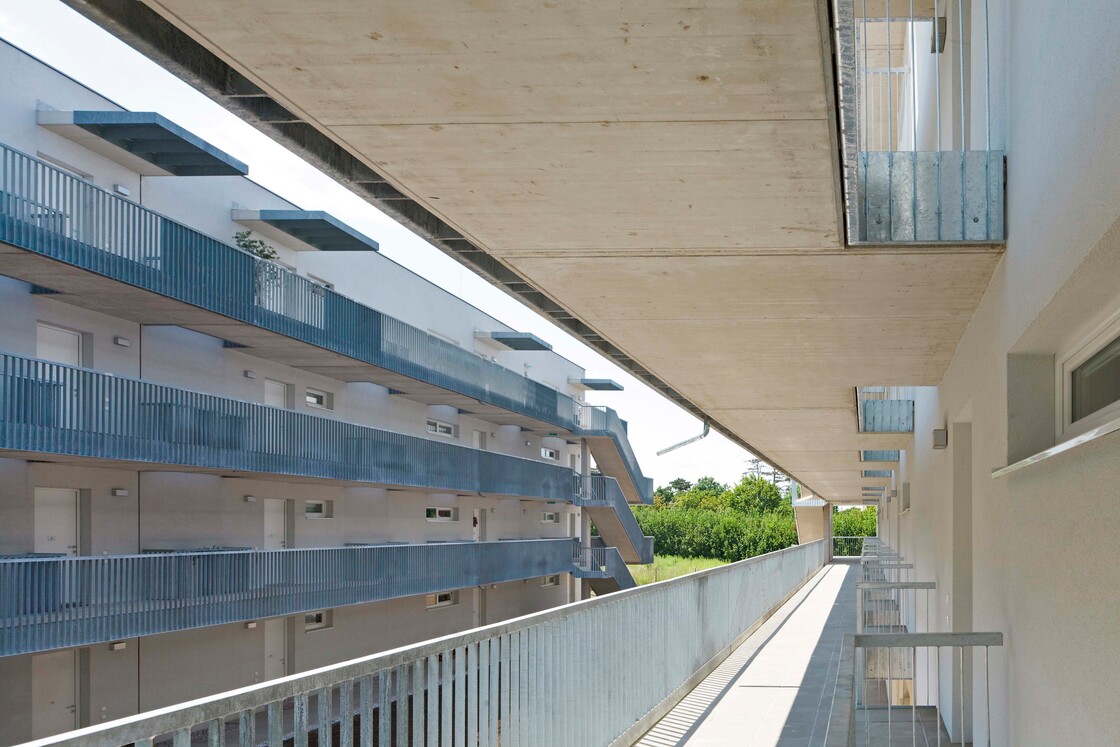 Ein Foto von Rupert Steiner