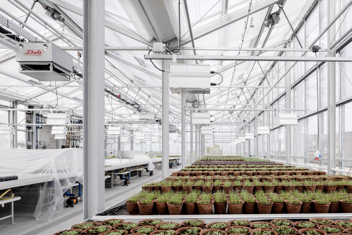 Ein Foto von hiepler, brunier,