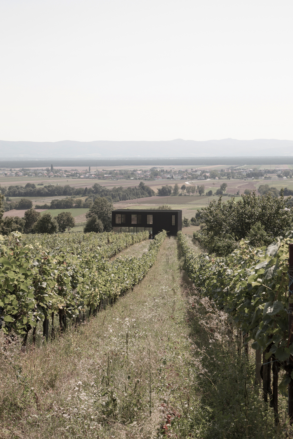 Ein Foto von STEINBAUER architektur+design