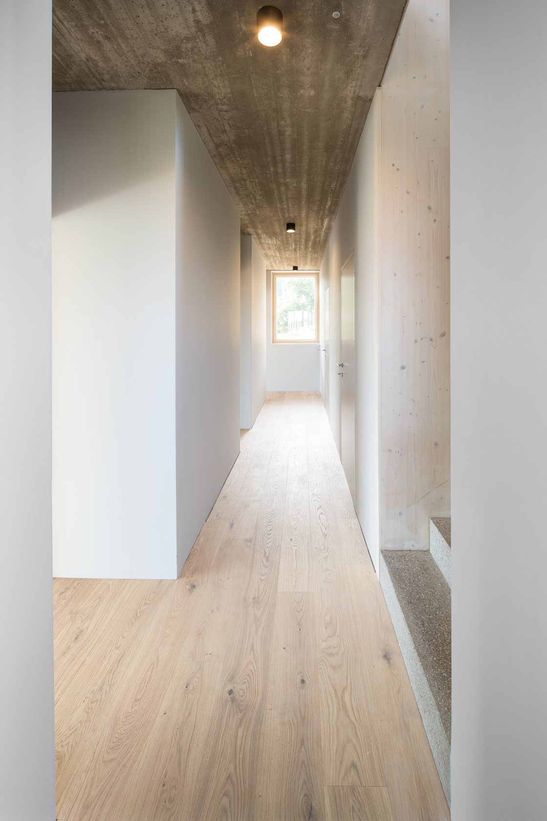 Ein Foto von Markus Fattinger